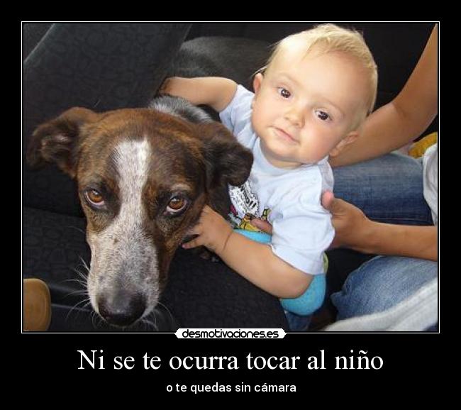 Ni se te ocurra tocar al niño -