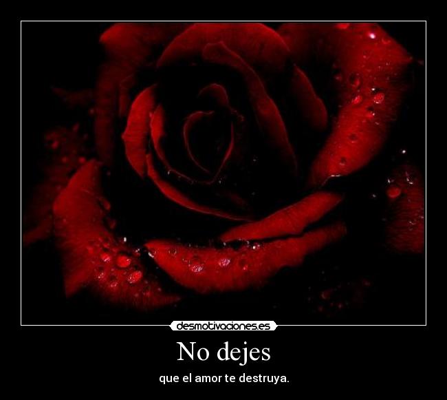 No dejes - 