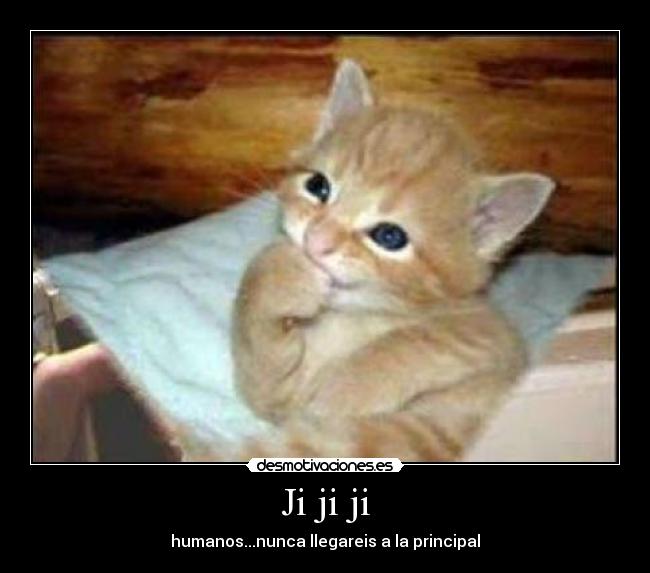 carteles jajajaja desmotivaciones