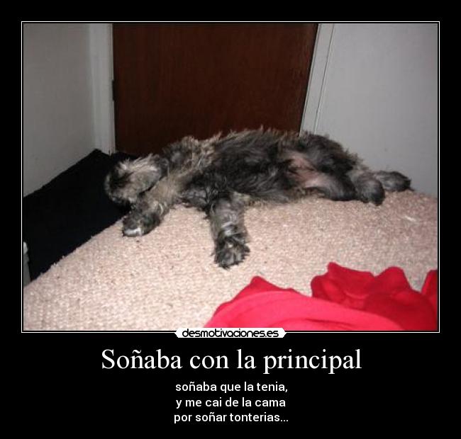 Soñaba con la principal -