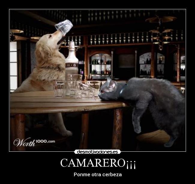 CAMARERO¡¡¡ - 