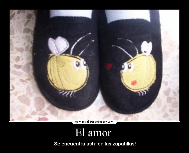 El amor -