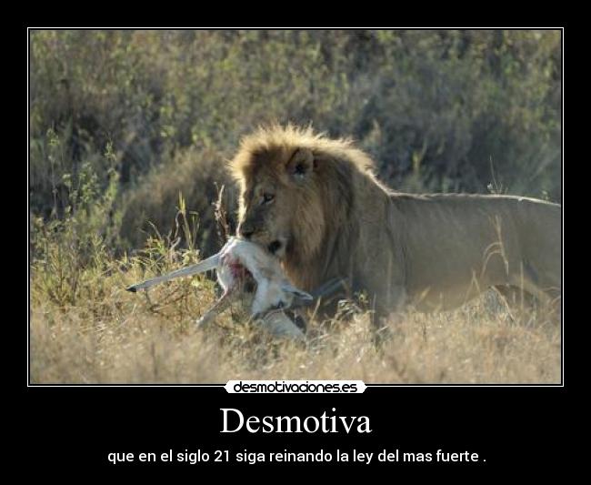 Desmotiva -