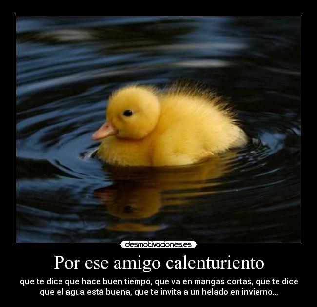 Por ese amigo calenturiento - 
