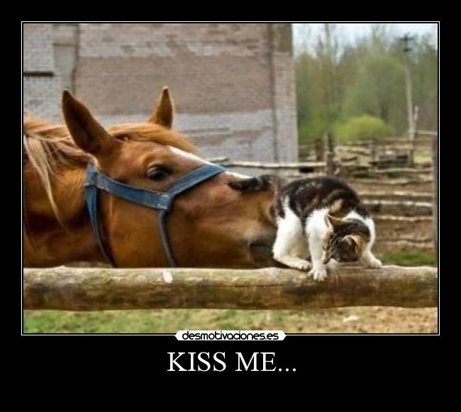 KISS ME... -