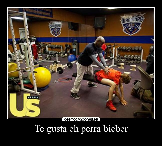 Te gusta eh perra bieber - 