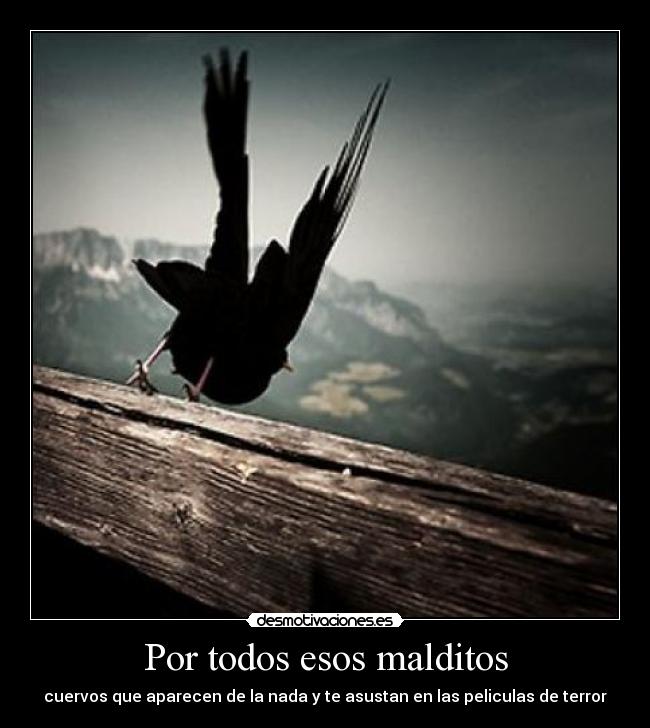 carteles xdd desmotivaciones