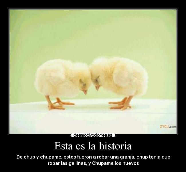 Esta es la historia - De chup y chupame, estos fueron a robar una granja, chup tenia que
robar las gallinas, y Chupame los huevos