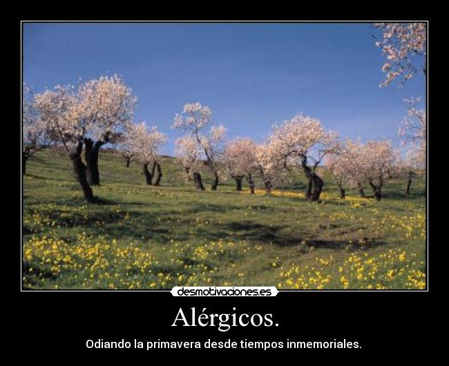 Alérgicos. -