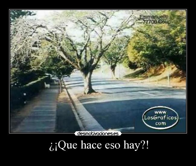 ¿¡Que hace eso hay?! - 