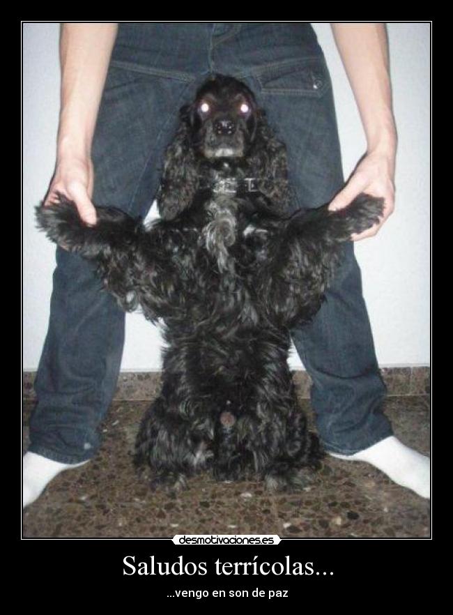 Saludos terrícolas... -