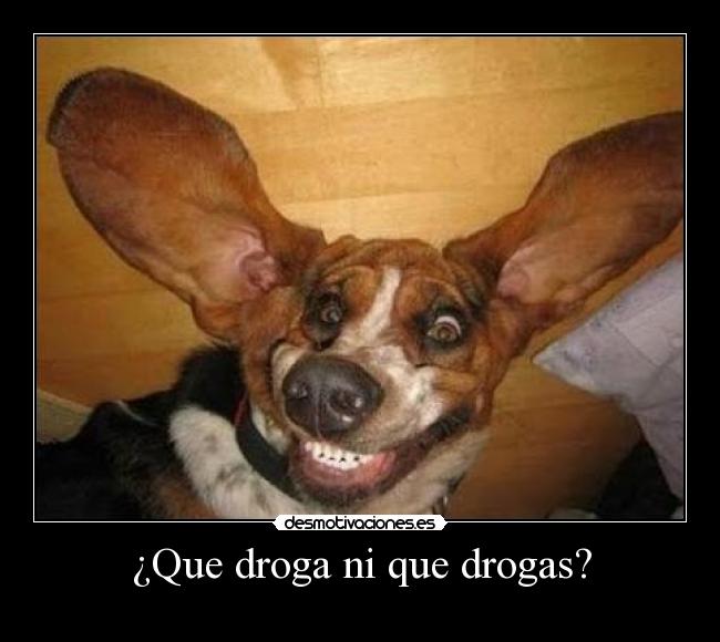 ¿Que droga ni que drogas? - 