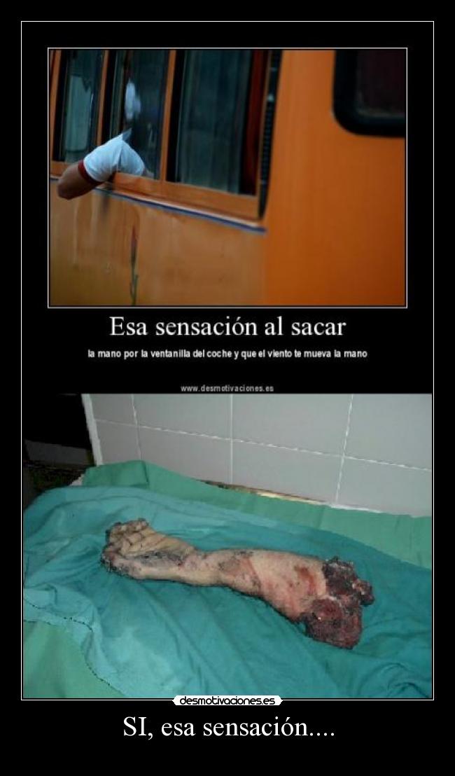 SI, esa sensación.... -