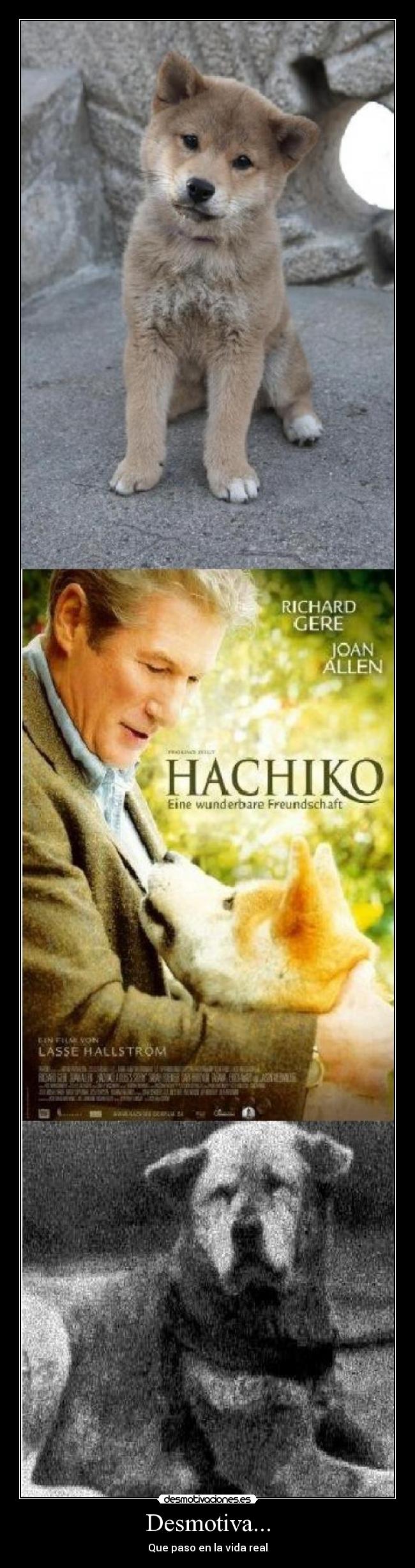 Desmotiva... - Que paso en la vida real