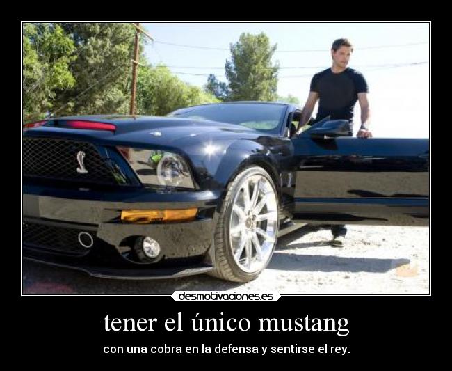 tener el único mustang - con una cobra en la defensa y sentirse el rey.
