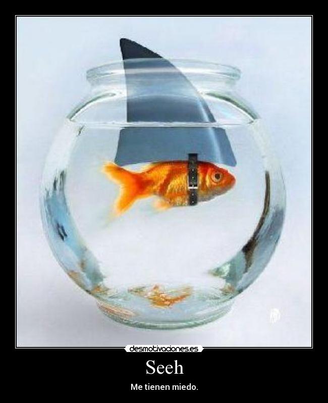 Seeh - Me tienen miedo.