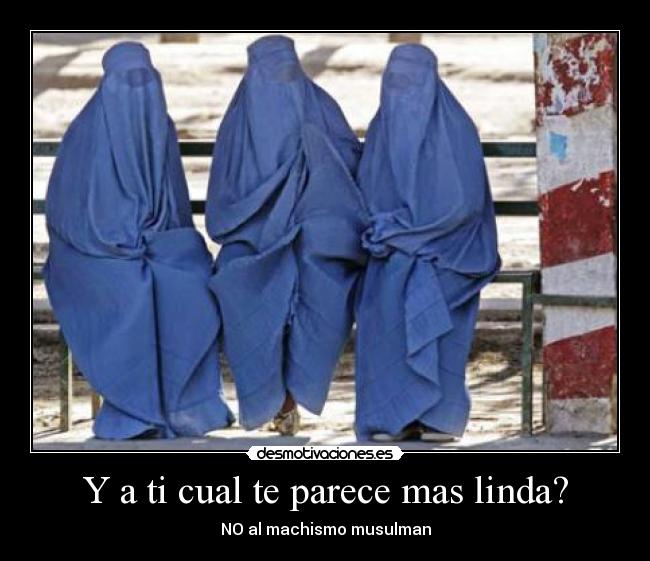 Y a ti cual te parece mas linda? - 