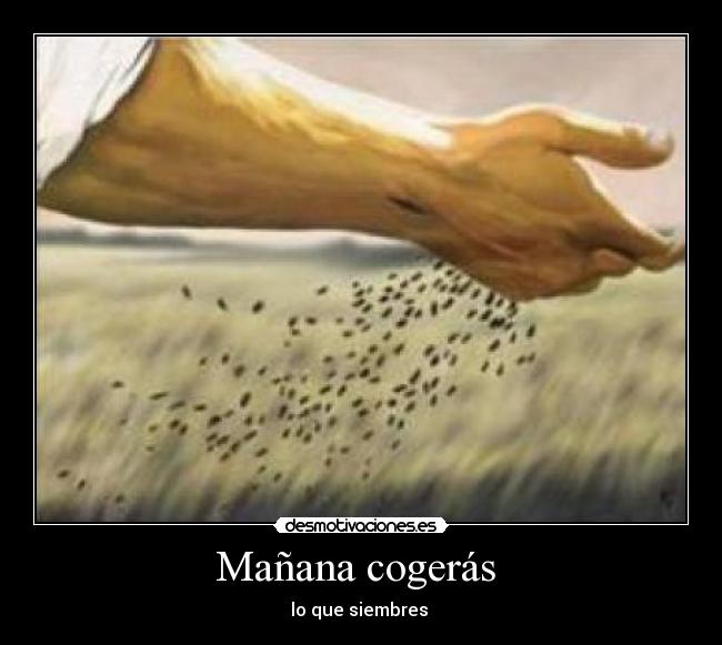 carteles aprender ser personas antes que hombres desmotivaciones