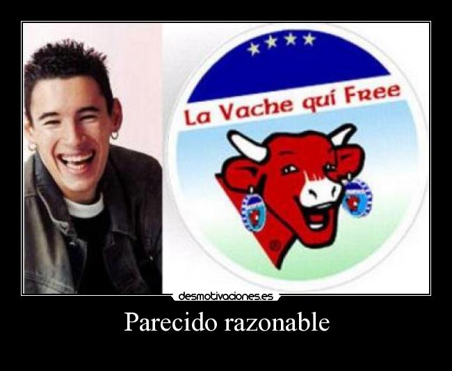 Parecido razonable - 