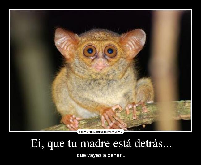 Ei, que tu madre está detrás... -