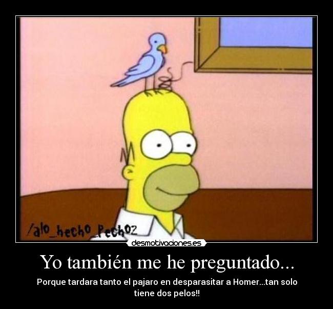 carteles minailige desmotivaciones