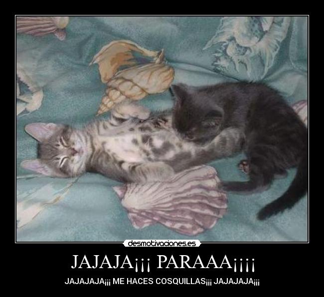 carteles paraaaa desmotivaciones