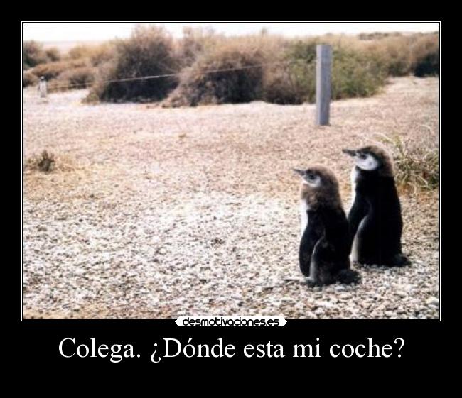 Colega. ¿Dónde esta mi coche? - 