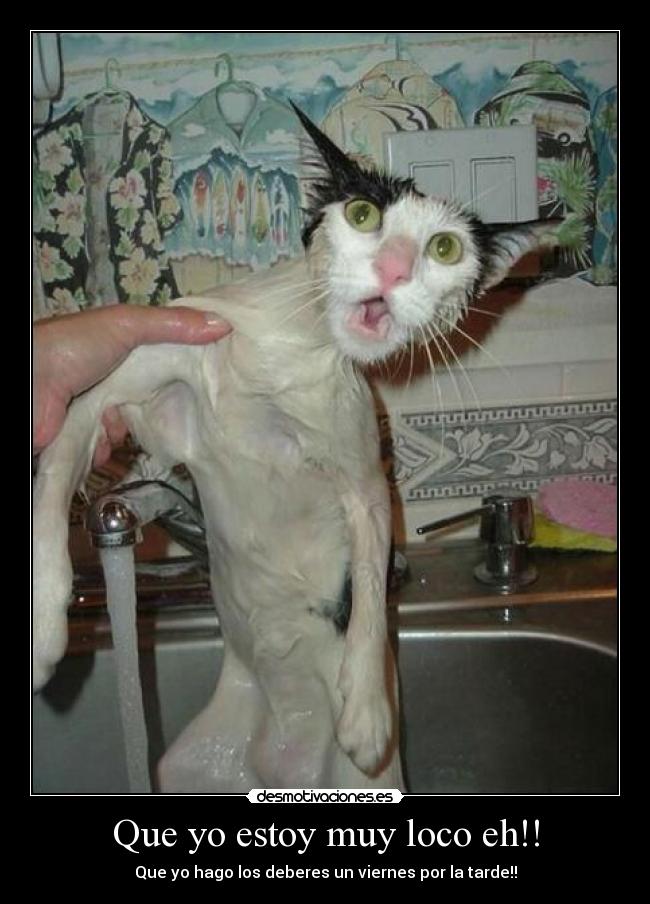 Que yo estoy muy loco eh!! - Que yo hago los deberes un viernes por la tarde!!