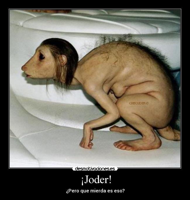 carteles desmotivaciones