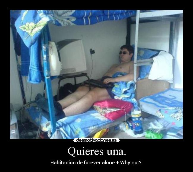 Quieres una. - Habitación de forever alone + Why not? 
