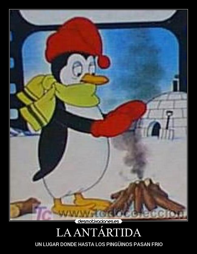 carteles miguel1527 desmotivaciones