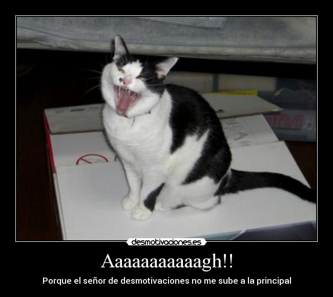 Aaaaaaaaaaagh!! -