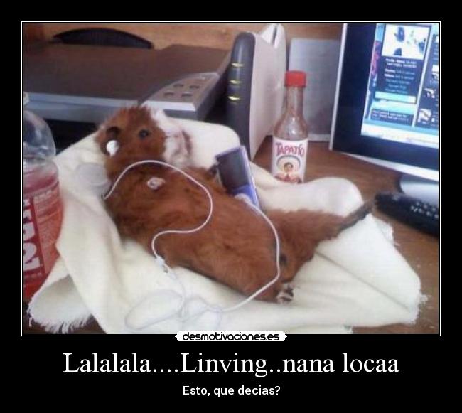 Lalalala....Linving..nana locaa -