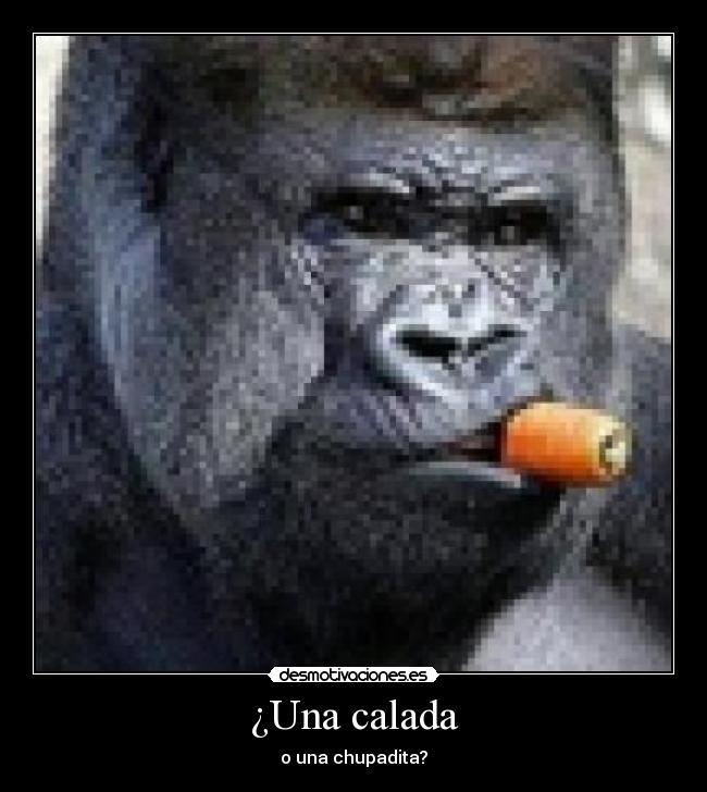 ¿Una calada - o una chupadita?