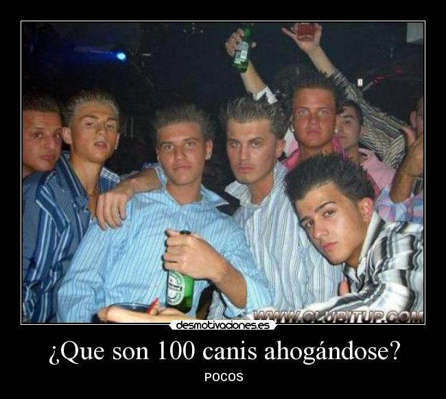 ¿Que son 100 canis ahogándose? - 