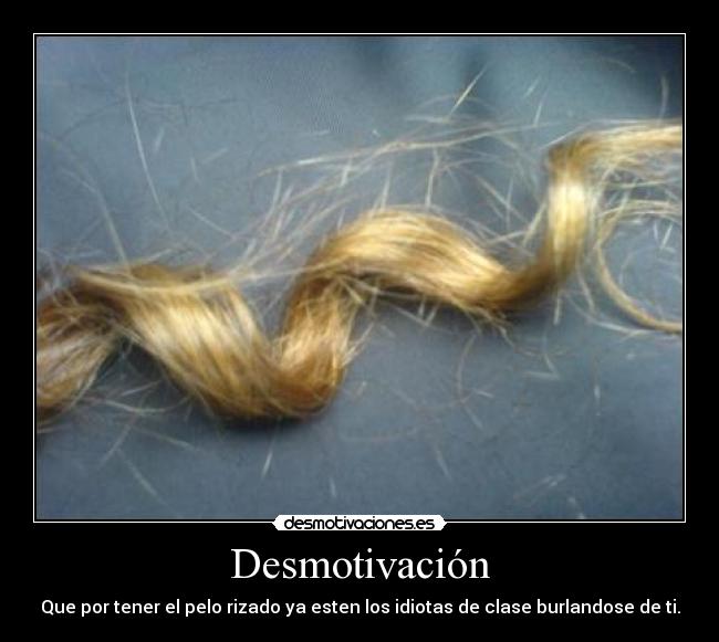 Desmotivación - Que por tener el pelo rizado ya esten los idiotas de clase burlandose de ti.