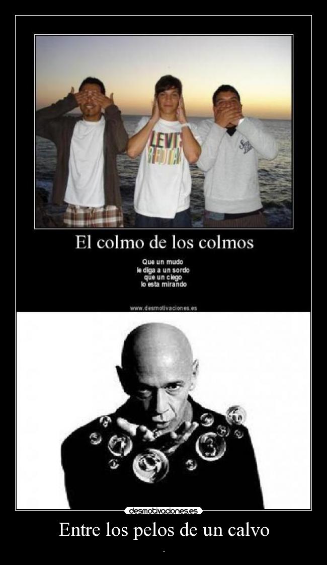 Entre los pelos de un calvo - .