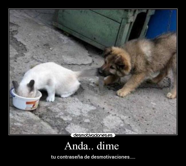 Anda.. dime - tu contraseña de desmotivaciones.....