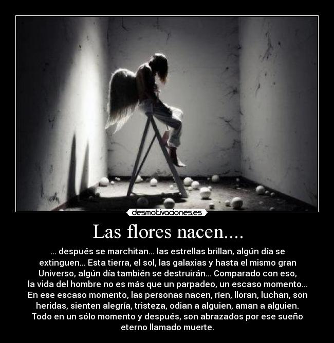 carteles muerte desmotivaciones