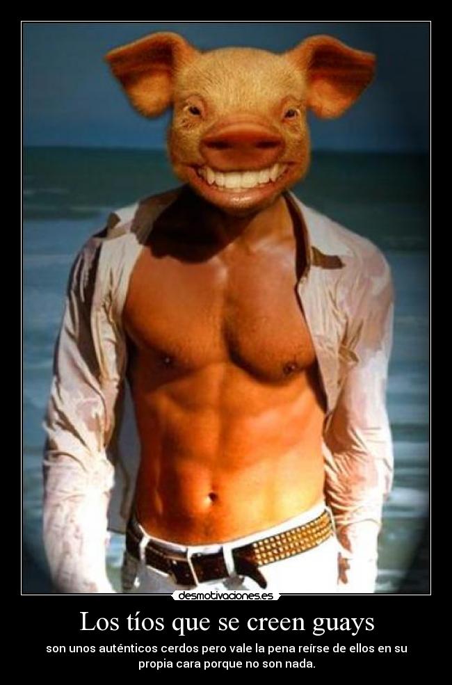 Los tíos que se creen guays - son unos auténticos cerdos pero vale la pena reírse de ellos en su
propia cara porque no son nada.