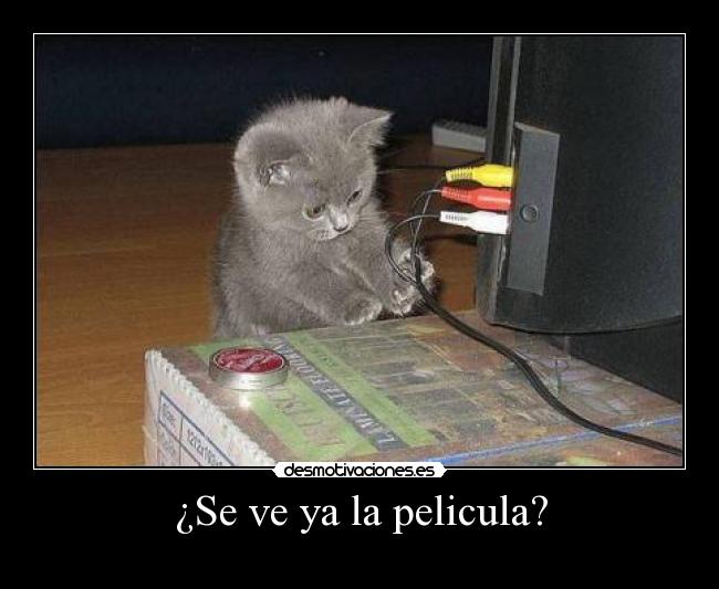 ¿Se ve ya la pelicula? -