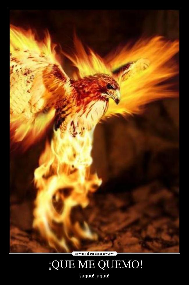 ¡QUE ME QUEMO! - 
