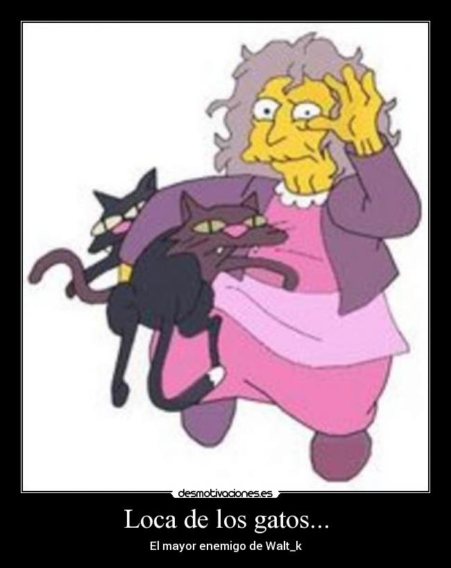 Loca de los gatos... - El mayor enemigo de Walt_k