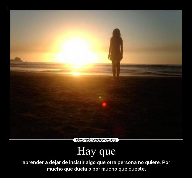 carteles dejar insistir desmotivaciones