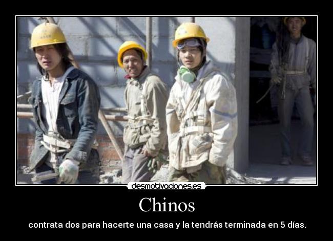 carteles chinoscasa desmotivaciones