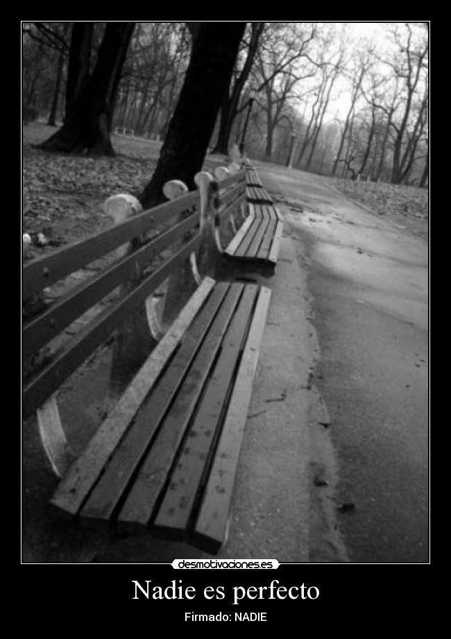 Nadie es perfecto - 