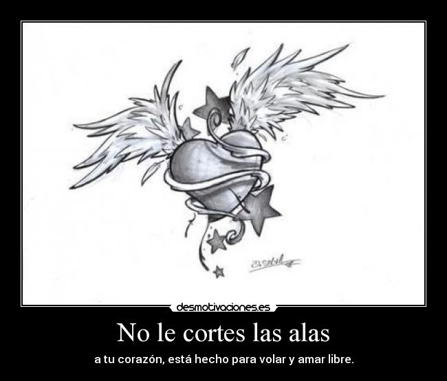 No le cortes las alas - a tu corazón, está hecho para volar y amar libre.