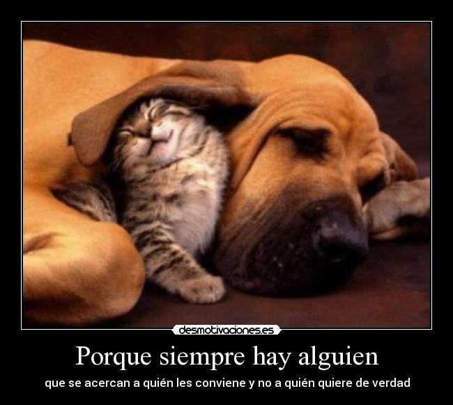 Porque siempre hay alguien - que se acercan a quién les conviene y no a quién quiere de verdad