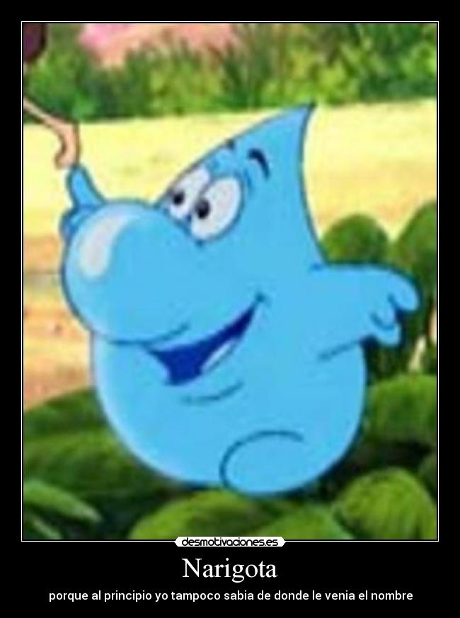Narigota - porque al principio yo tampoco sabia de donde le venia el nombre