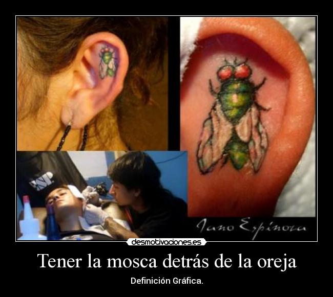 Tener la mosca detrás de la oreja - Definición Gráfica.